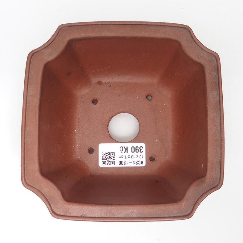 Ciotola bonsai 14 x 14 x 7 cm, marrone