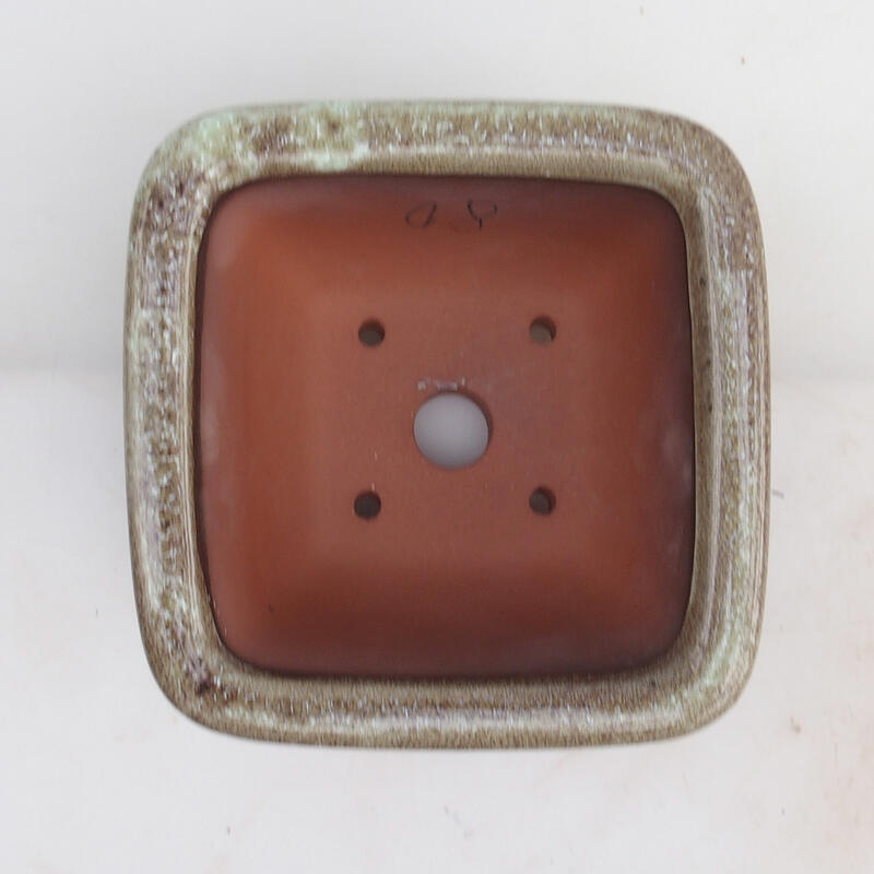 Ciotola per bonsai 14 x 14 x 8 cm, colore marrone bordeaux