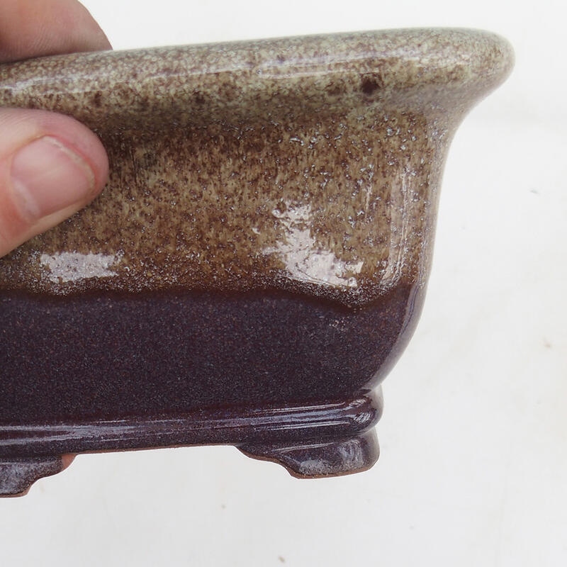 Ciotola per bonsai 14 x 14 x 8 cm, colore marrone bordeaux