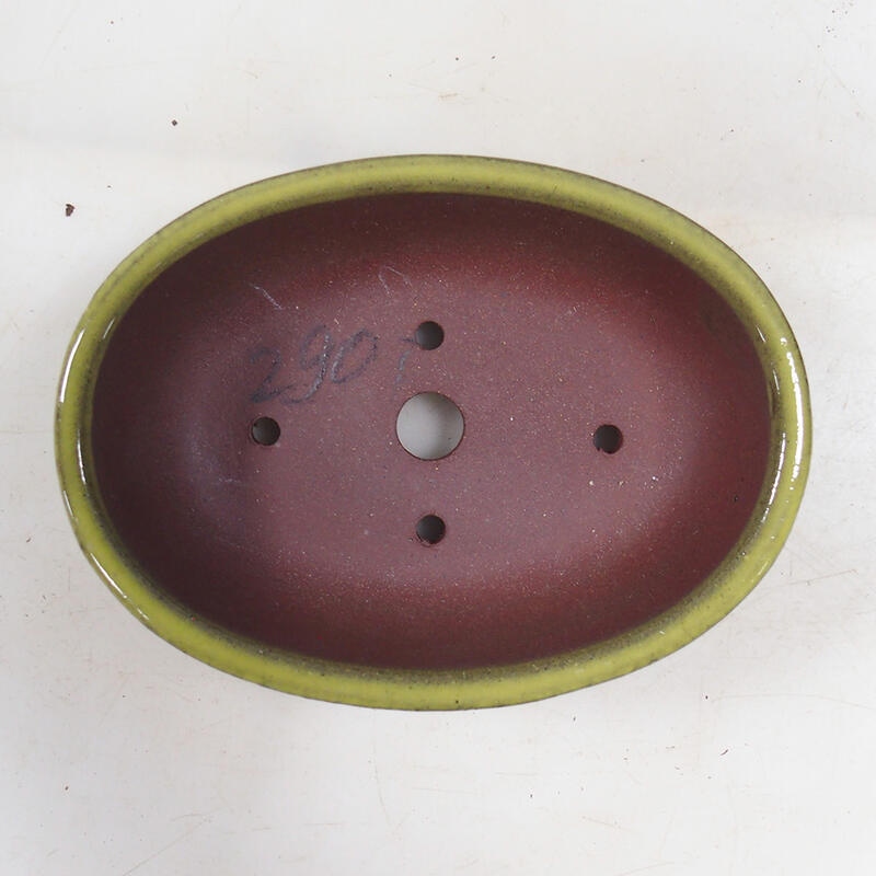 Ciotola per bonsai 15,5 x 11,5 x 4,5 cm, giallo