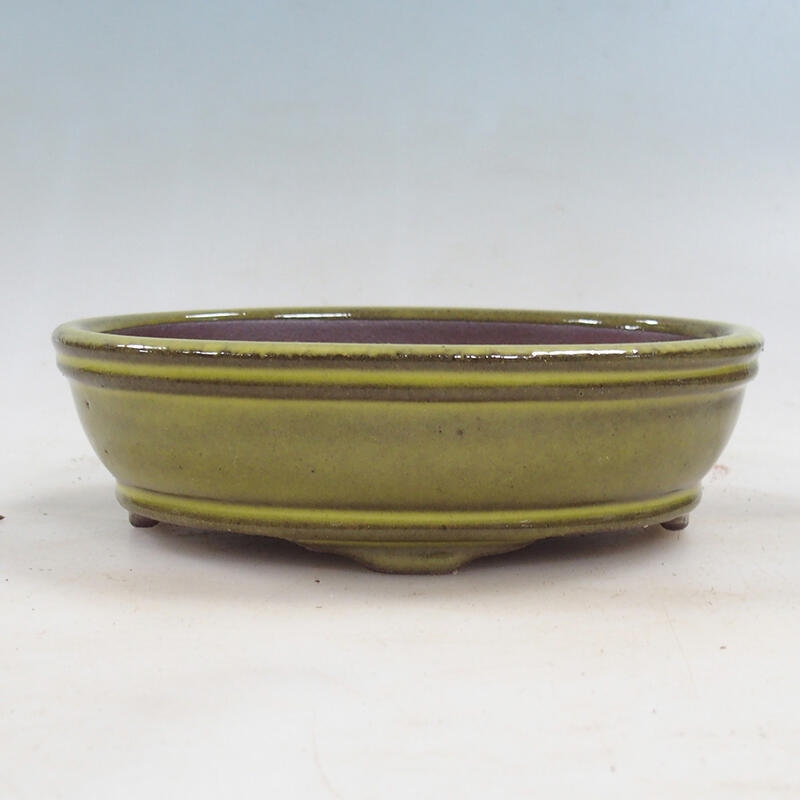 Ciotola per bonsai 15,5 x 11,5 x 4,5 cm, giallo