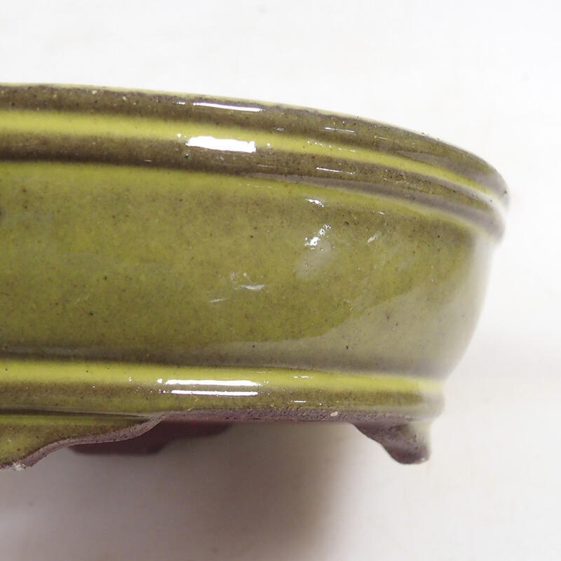 Ciotola per bonsai 15,5 x 11,5 x 4,5 cm, giallo