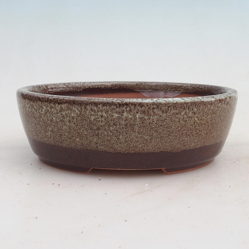 Ciotola per bonsai 15,5 x 13 x 5 cm, marrone