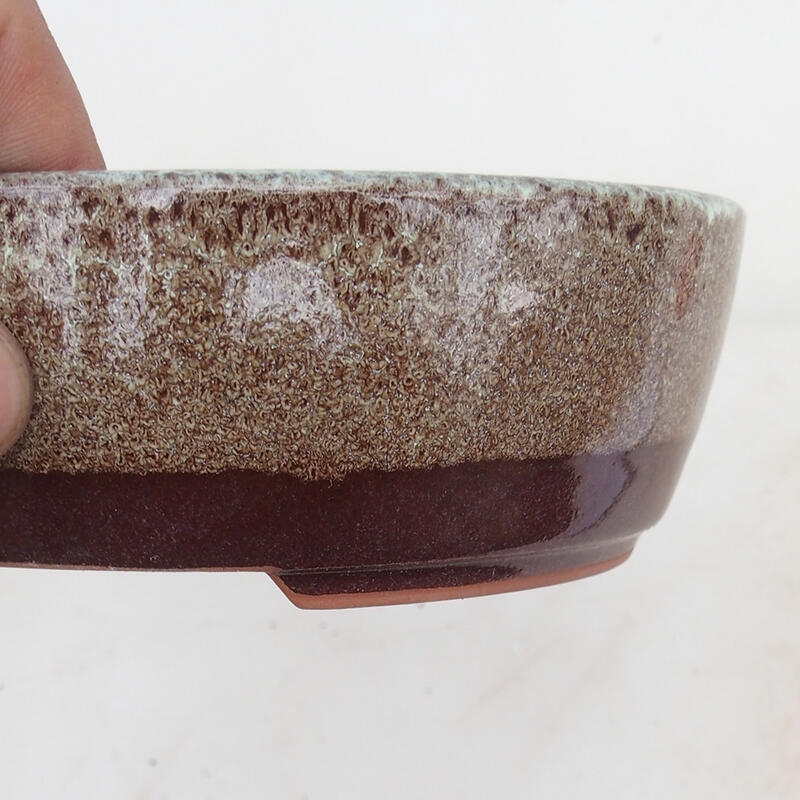 Ciotola per bonsai 15,5 x 13 x 5 cm, marrone