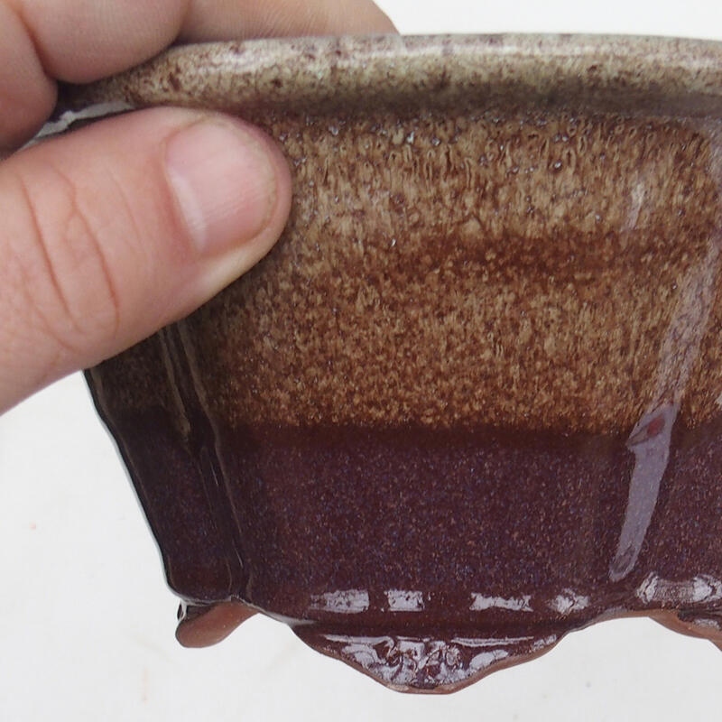 Ciotola per bonsai 15,5 x 13 x 7,5 cm, colore marrone