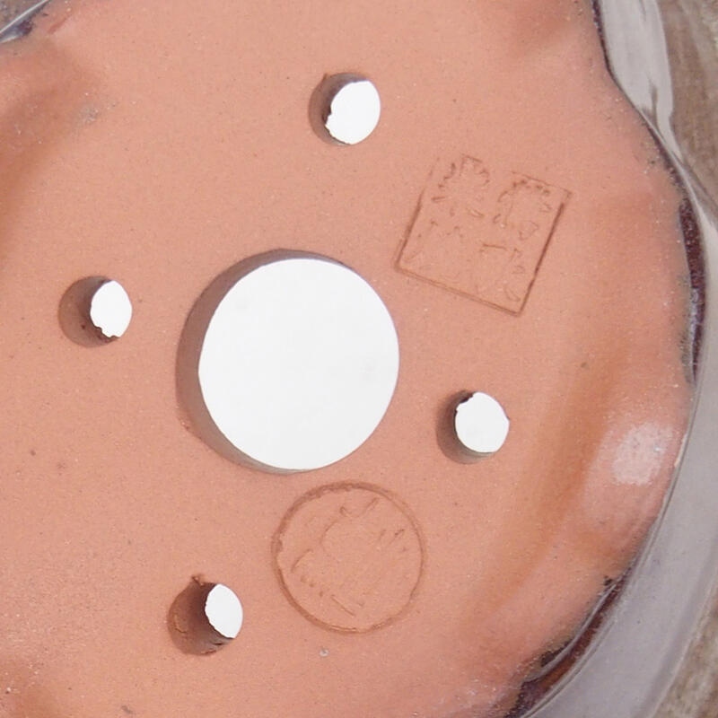 Ciotola per bonsai 15,5 x 13 x 7,5 cm, colore marrone