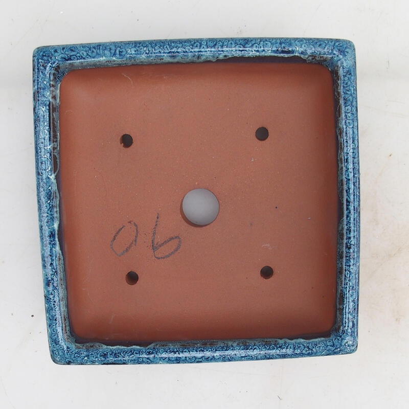 Ciotola per bonsai 15,5 x 15,5 x 5,5 cm, colore blu