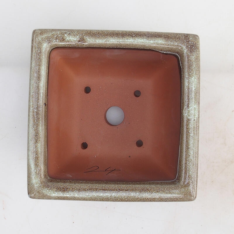 Ciotola per bonsai 15,5 x 15,8 x 8 cm, colore marrone bordeaux