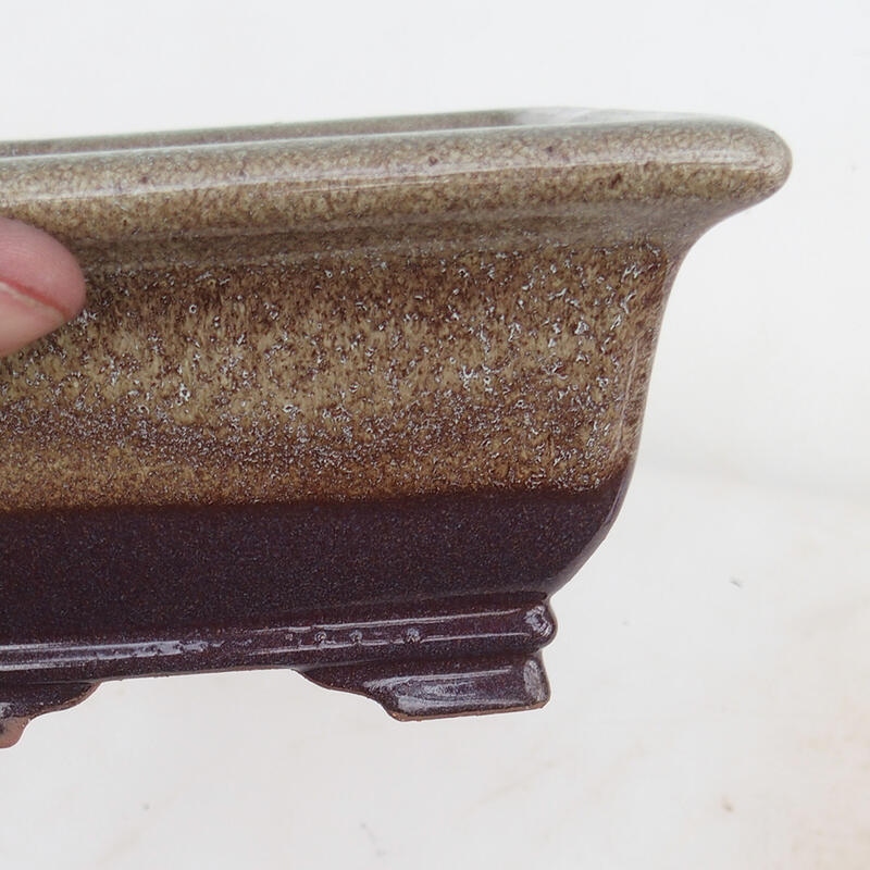 Ciotola per bonsai 15,5 x 15,8 x 8 cm, colore marrone bordeaux