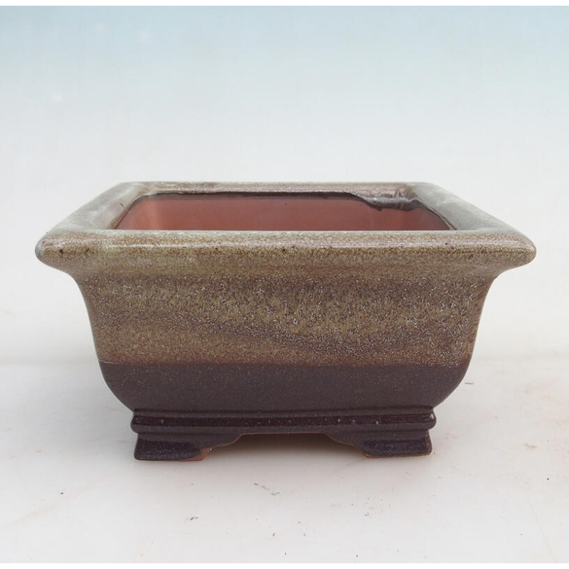 Ciotola per bonsai 15,5 x 15,8 x 8 cm, colore marrone bordeaux