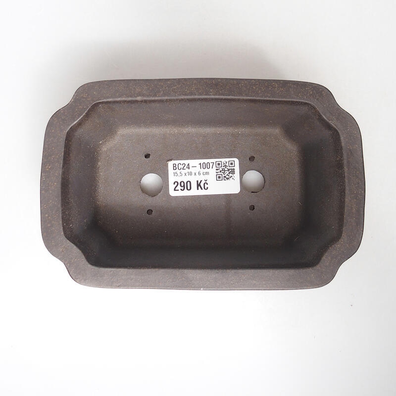 Ciotola bonsai 15 x 10 x 6 cm, marrone ocra