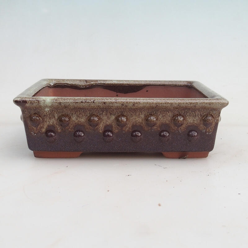 Ciotola per bonsai 15 x 11 x 4,5 cm, colore marrone bordeaux