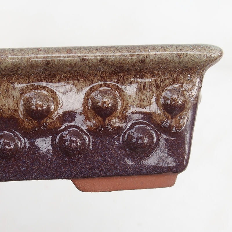 Ciotola per bonsai 15 x 11 x 4,5 cm, colore marrone bordeaux