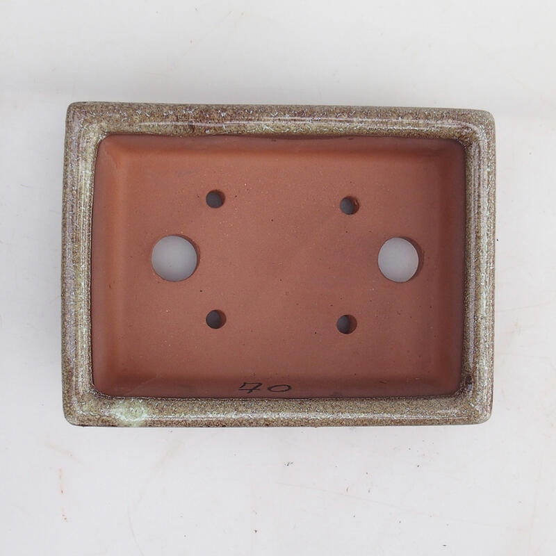 Ciotola per bonsai 15 x 11 x 4,5 cm, colore marrone bordeaux