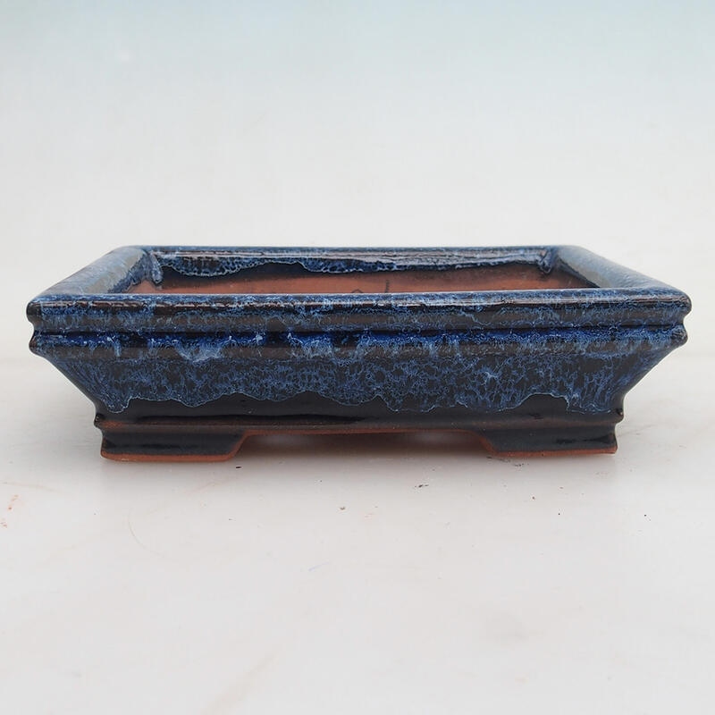 Ciotola per bonsai 15 x 12 x 4 cm, colore blu