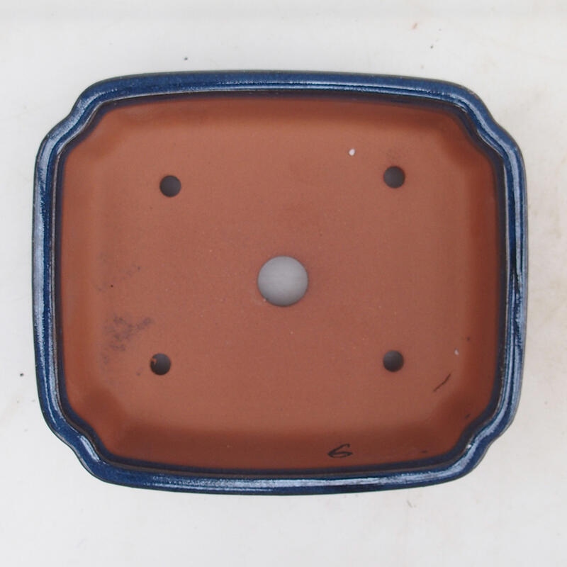 Ciotola per bonsai 15 x 13 x 5 cm, colore blu