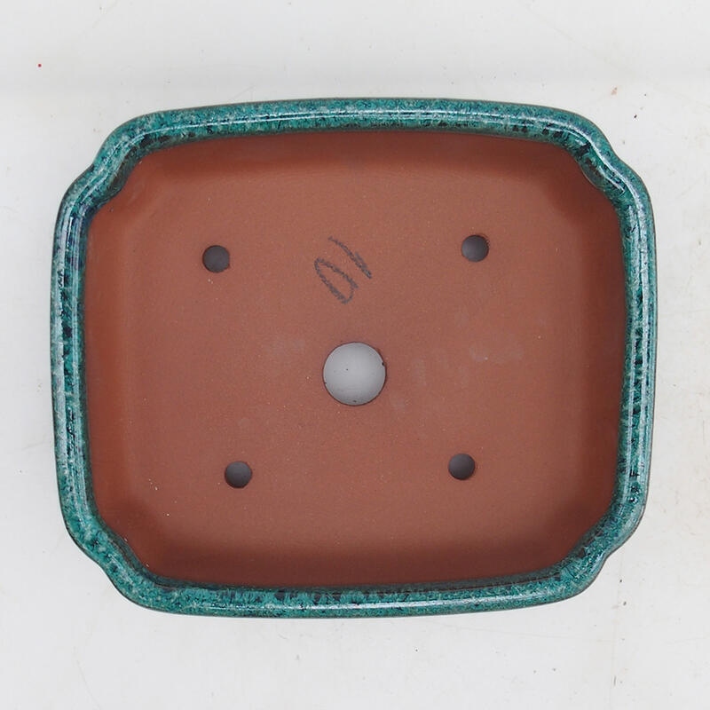 Ciotola bonsai 15 x 13 x 5 cm, verde