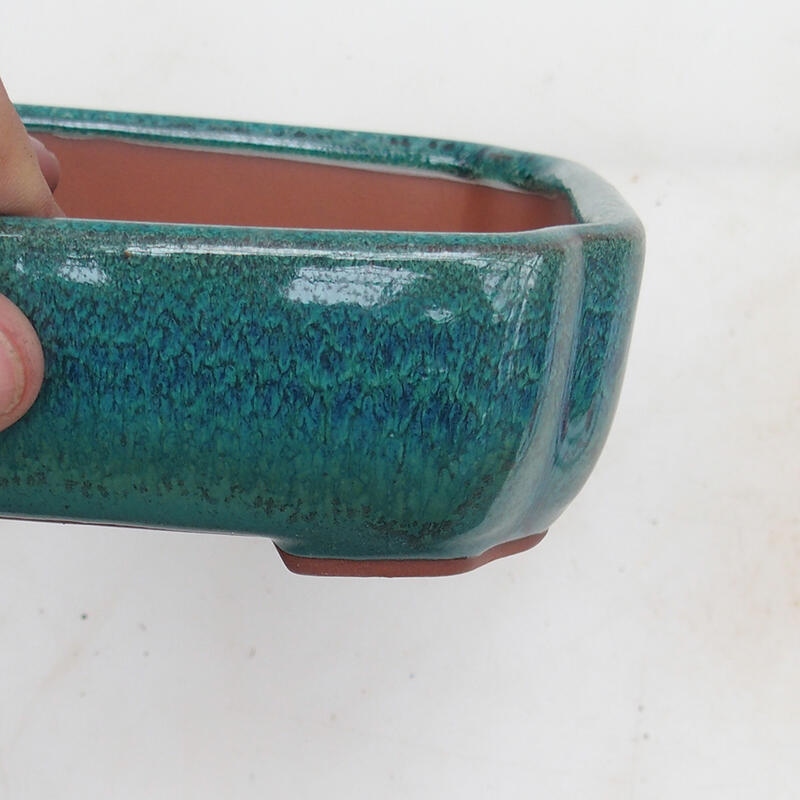 Ciotola bonsai 15 x 13 x 5 cm, verde