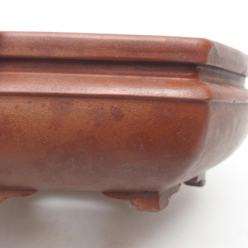 Ciotola per bonsai 15 x 14 x 5,5 cm, marrone