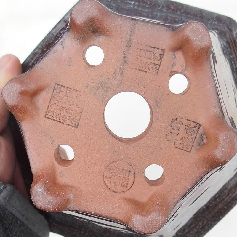 Ciotola per bonsai 15 x 14 x 9 cm, marrone