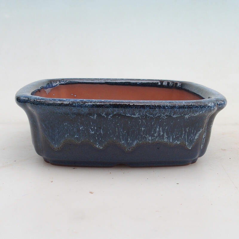 Ciotola per bonsai 15 x 15 x 4,5 cm, colore blu
