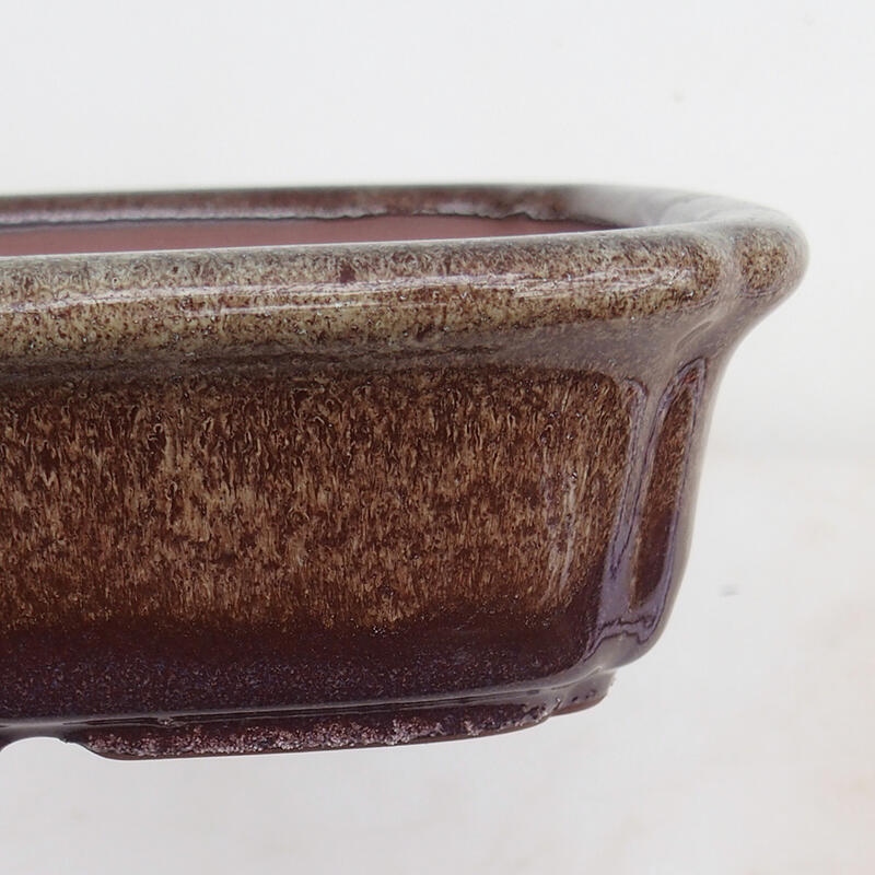 Ciotola per bonsai 15 x 15 x 4,5 cm, colore marrone bordeaux