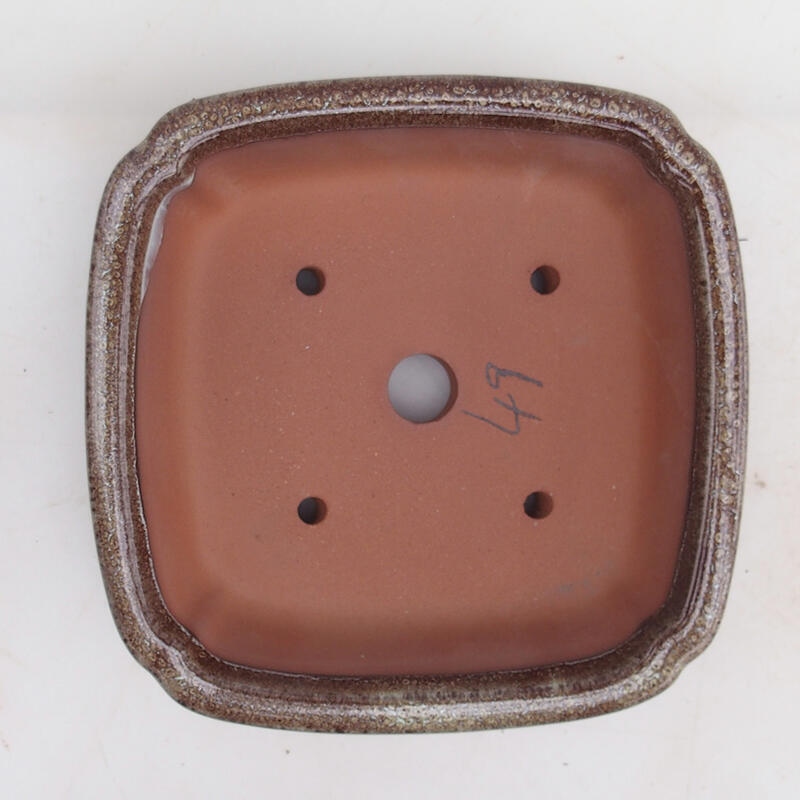 Ciotola per bonsai 15 x 15 x 4,5 cm, colore marrone bordeaux