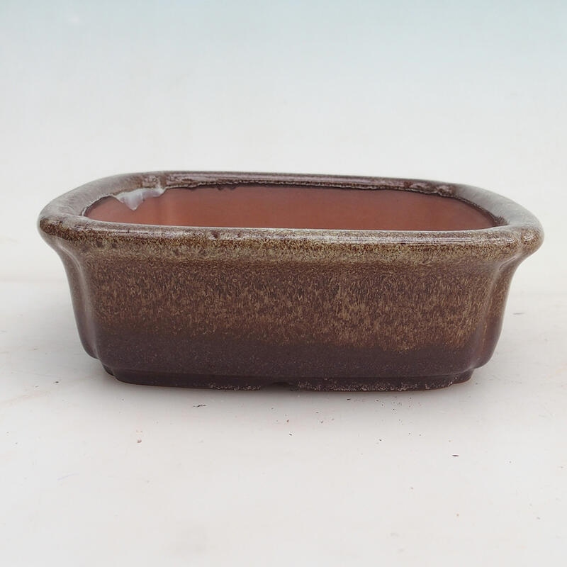 Ciotola per bonsai 15 x 15 x 4,5 cm, colore marrone bordeaux
