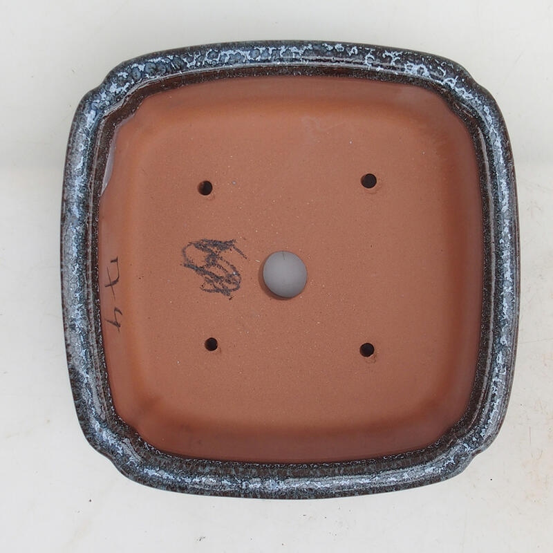 Ciotola per bonsai 15 x 15 x 4,5 cm, colore grigio bordeaux