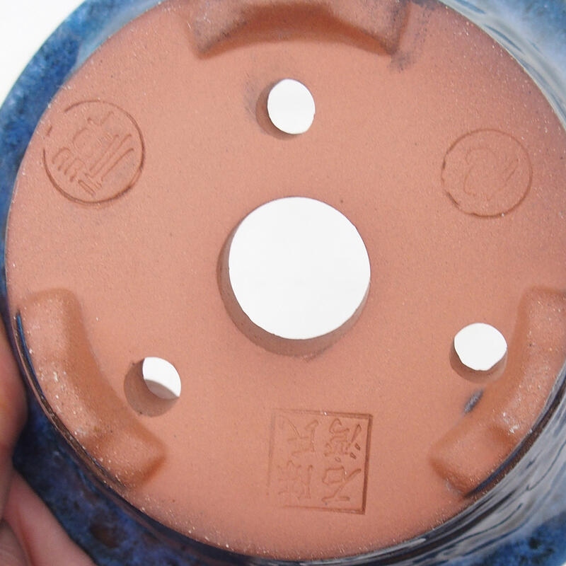 Ciotola per bonsai 15 x 15 x 7 cm, colore blu