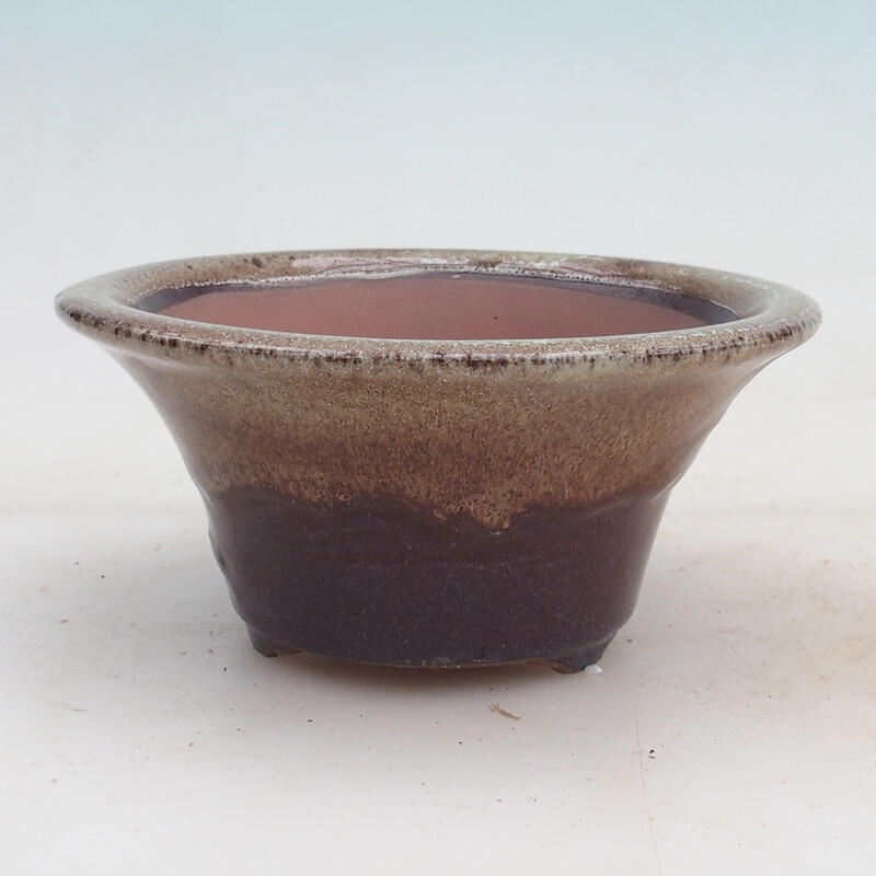 Ciotola per bonsai 15 x 15 x 7 cm, colore marrone bordeaux