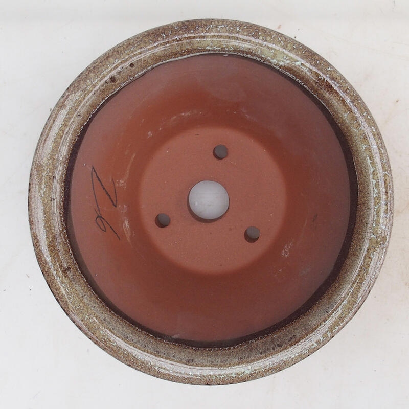 Ciotola per bonsai 15 x 15 x 7 cm, colore marrone bordeaux