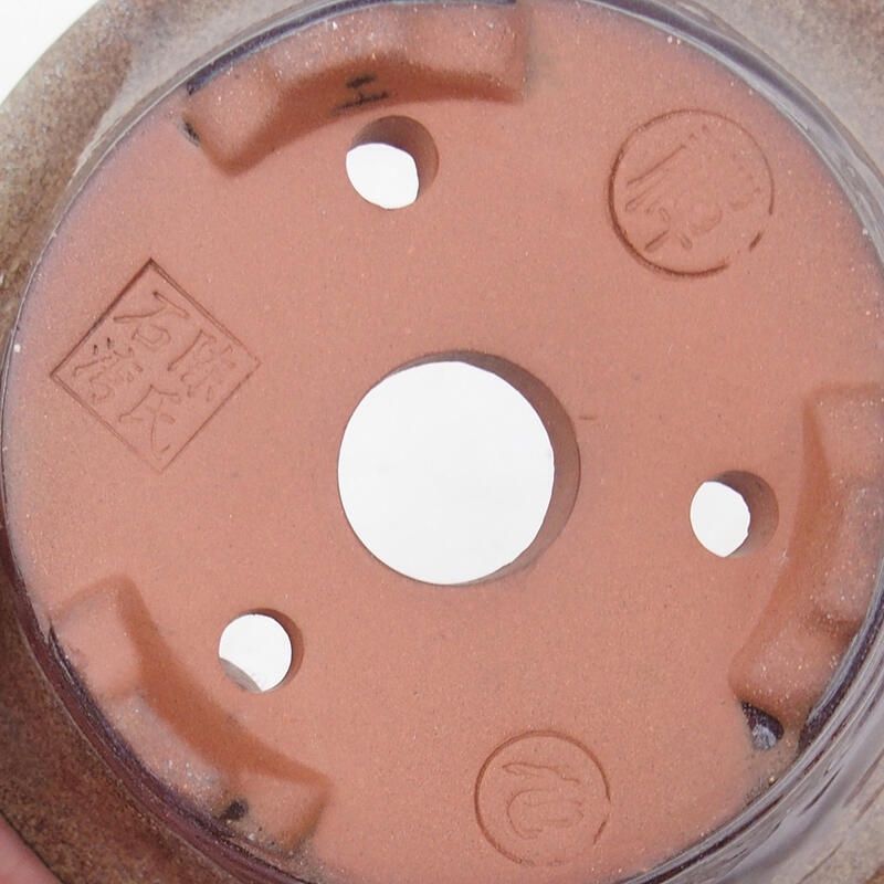 Ciotola per bonsai 15 x 15 x 7 cm, colore marrone bordeaux