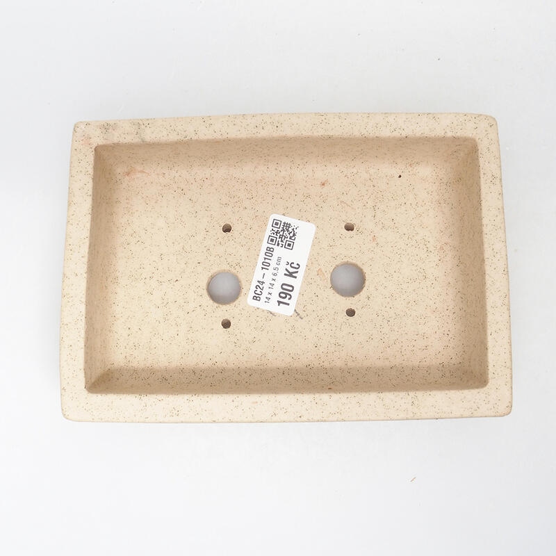 Ciotola per bonsai 16,5 x 11,5 x 5 cm, colore beige