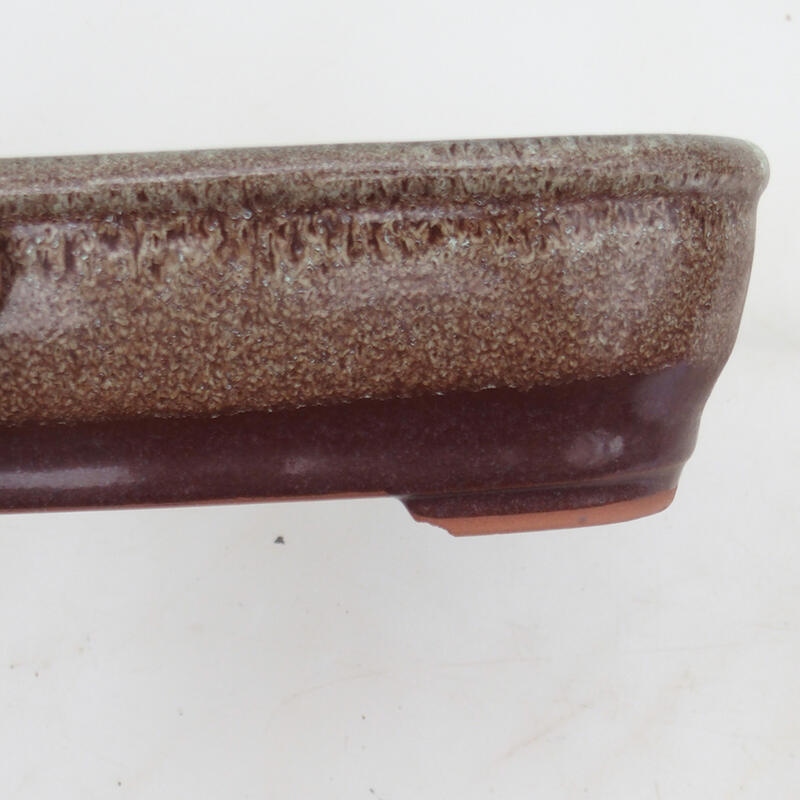 Ciotola per bonsai 16,5 x 12 x 5 cm, marrone