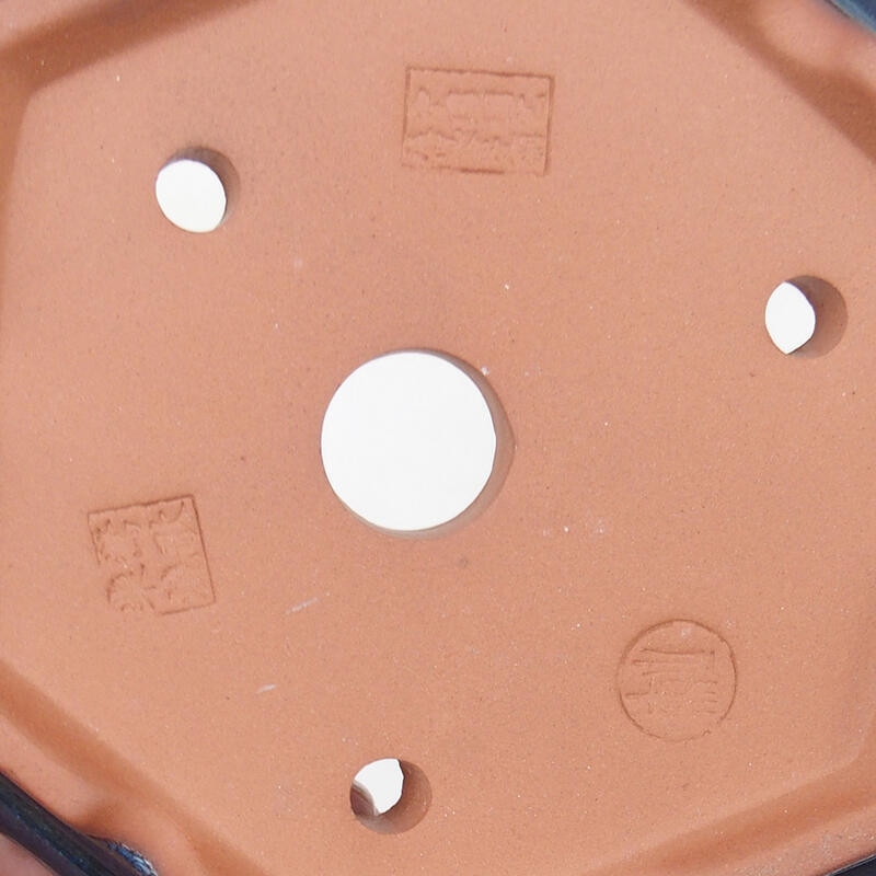 Ciotola bonsai 16 x 14 x 5 cm, colore blu