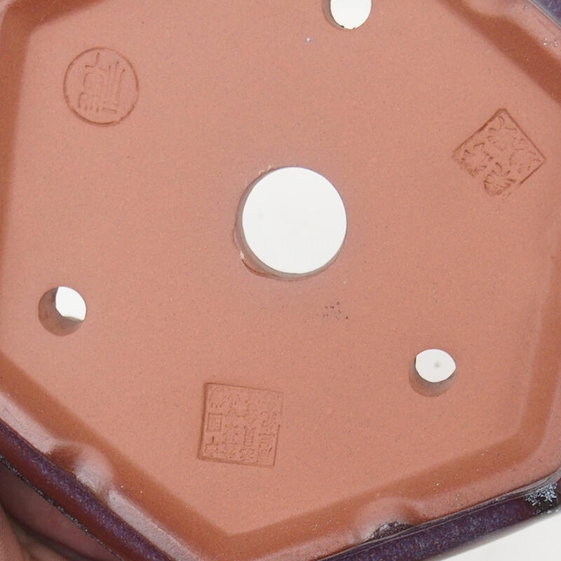 Ciotola bonsai 16 x 14 x 5 cm, bordeaux