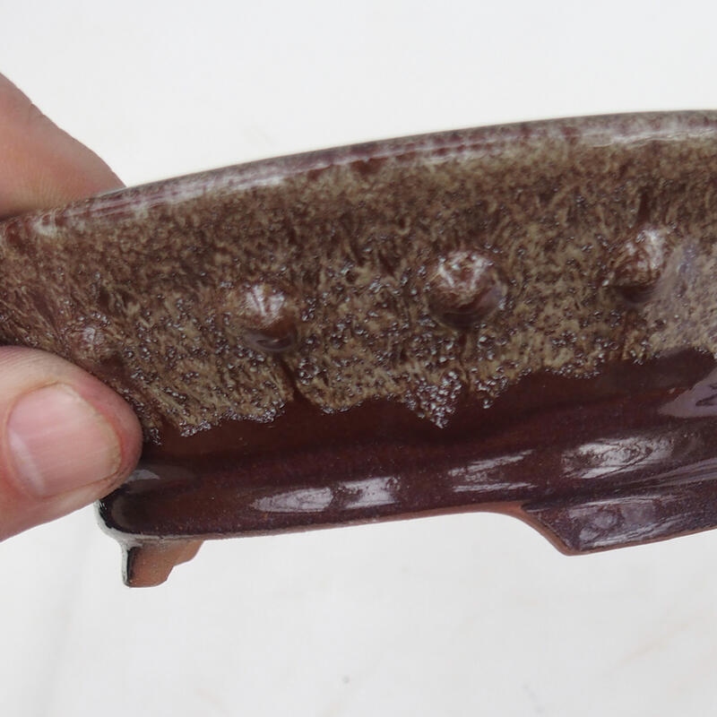 Ciotola per bonsai 16 x 16 x 4,5 cm, marrone