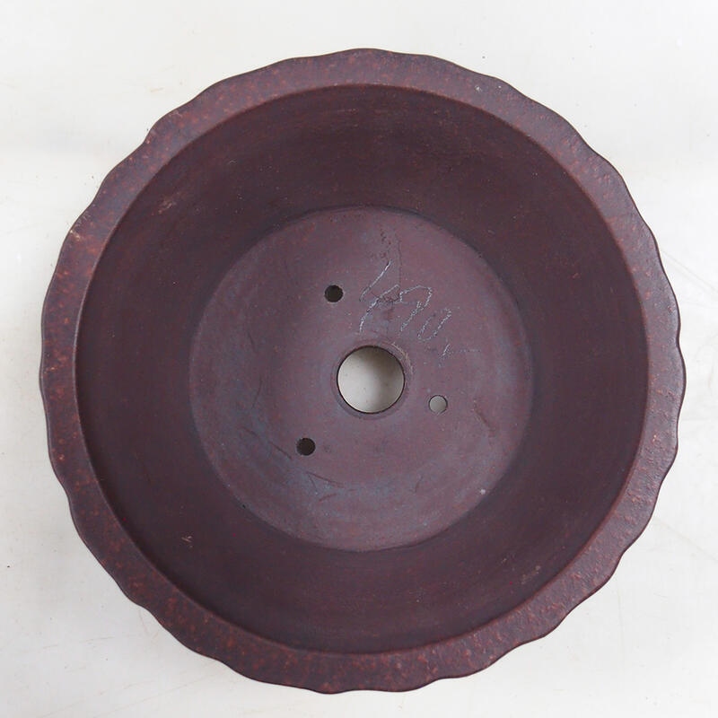 Ciotola per bonsai 16 x 16 x 7 cm, marrone