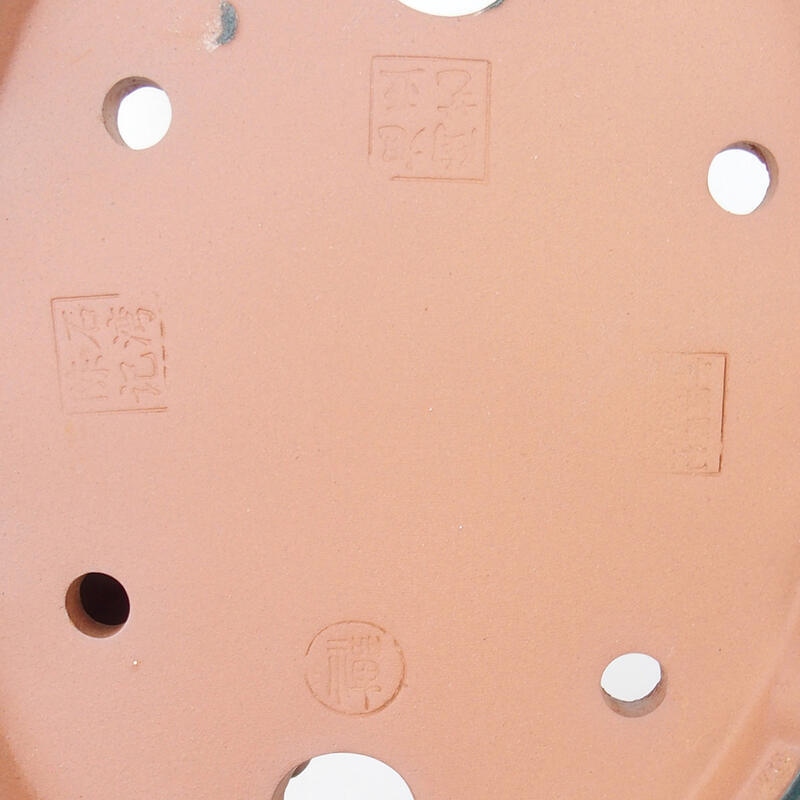 Ciotola per bonsai 18,5 x 14,5 x 4,5 cm, verde