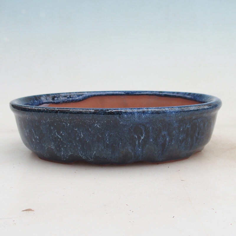 Ciotola per bonsai 18,5 x 15 x 4,5 cm, colore blu