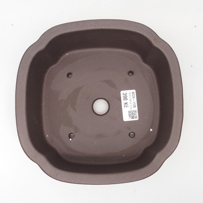 Ciotola per bonsai 18,5 x 18,5 x 7 cm, colore marrone