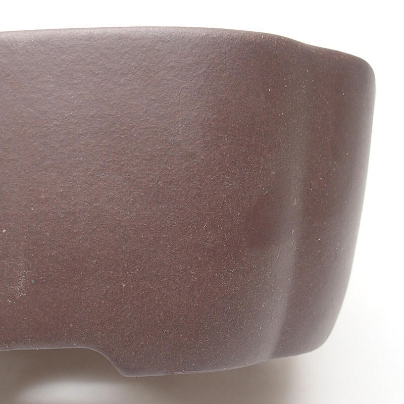 Ciotola per bonsai 18,5 x 18,5 x 7 cm, colore marrone