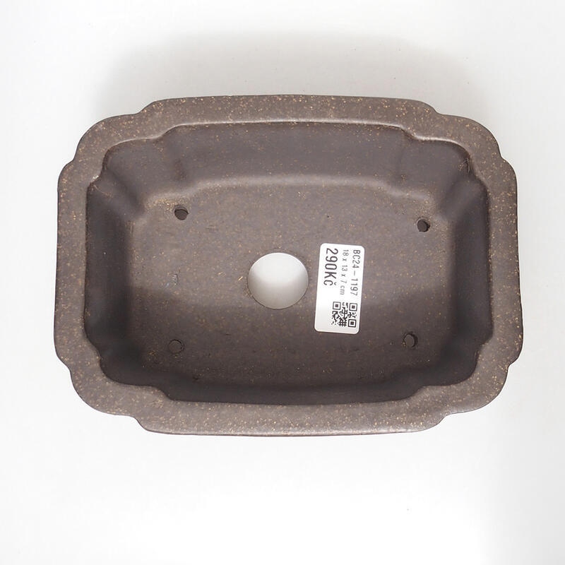 Ciotola bonsai 18 x 13,5 x 7 cm, colore marrone ocra