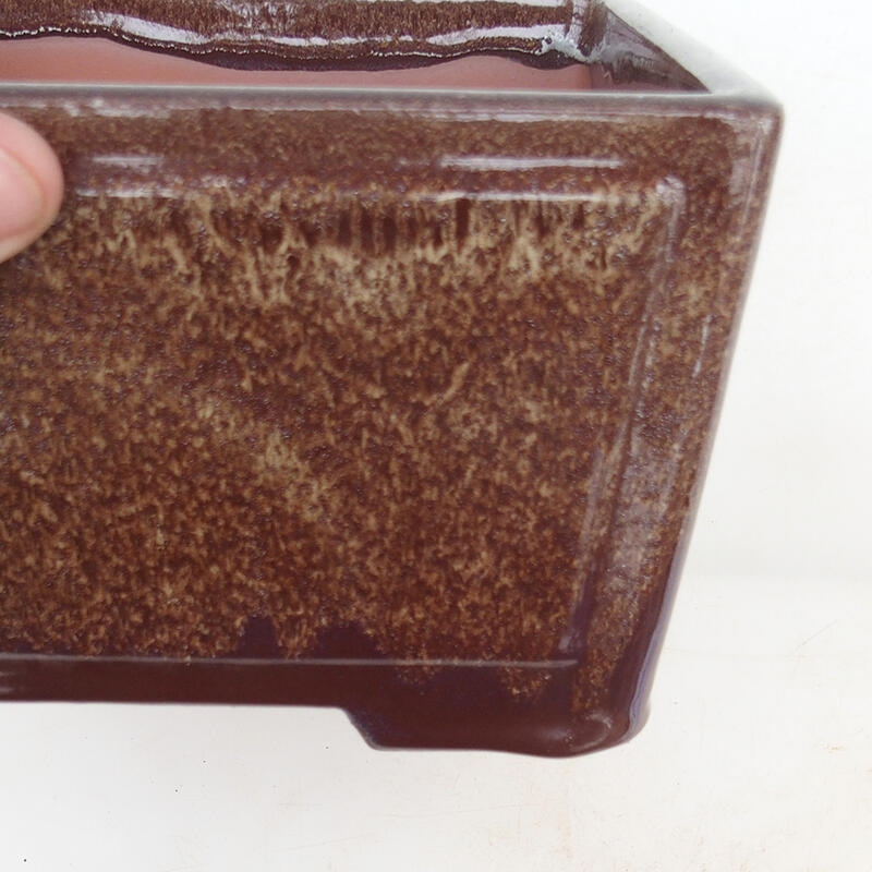 Ciotola per bonsai 19,5 x 19,5 x 10 cm, colore marrone