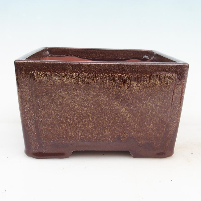 Ciotola per bonsai 19,5 x 19,5 x 10 cm, colore marrone