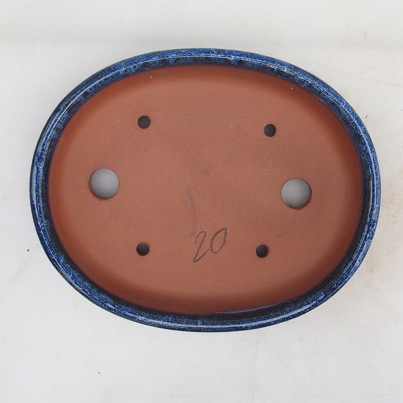 Ciotola bonsai 19 x 15 x 4,5 cm, colore blu