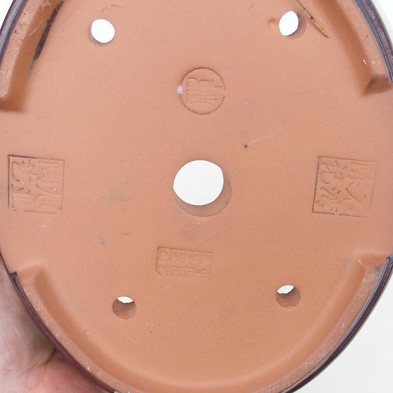 Ciotola per bonsai 20,5 x 17 x 6 cm, colore marrone bordeaux