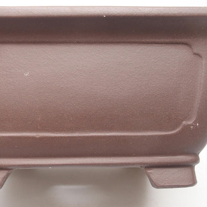 Ciotola per bonsai 20,5 x 20,5 x 10 cm, colore marrone