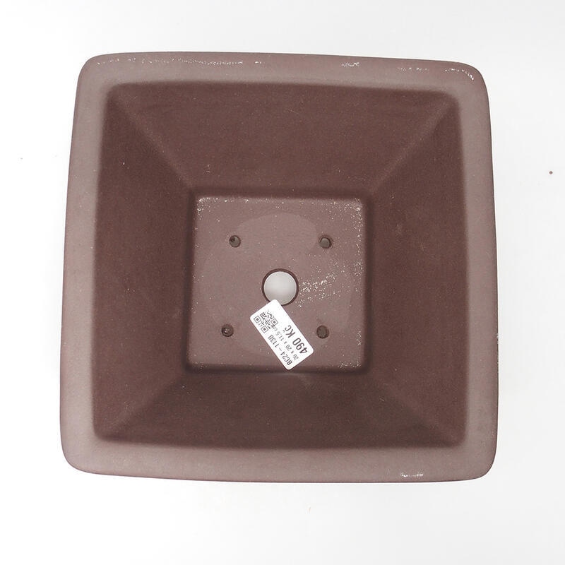 Ciotola per bonsai 20,5 x 20,5 x 11 cm, colore marrone